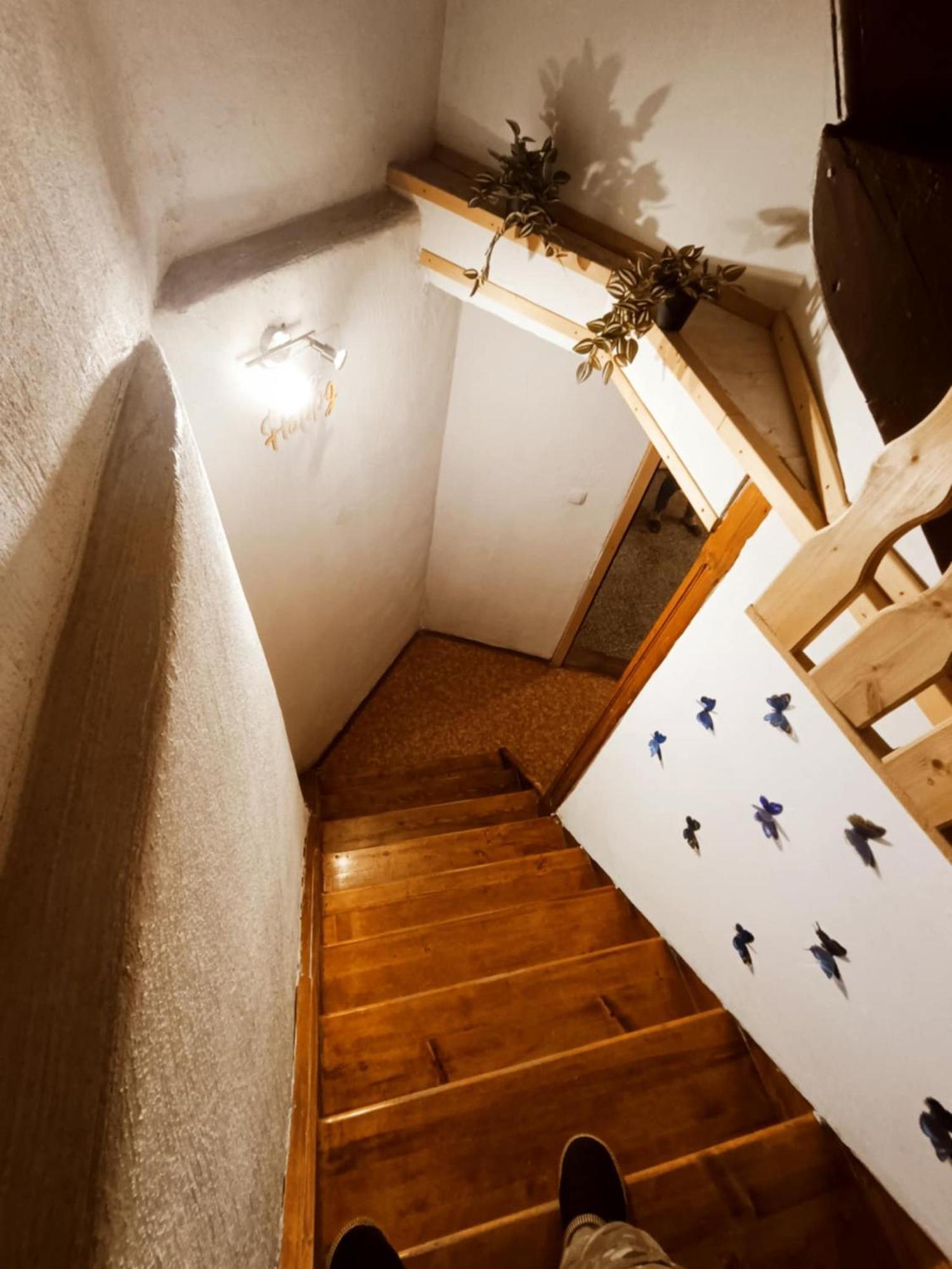 بيت شباب Sigma House موجسترانا المظهر الخارجي الصورة
